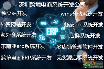 WMS倉儲(chǔ)系統(tǒng)開發(fā)與定制 構(gòu)建智慧物流的核心引擎